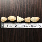 Five beige stones sit against a dark wood background. They are next to a white ruler showing each stone is approximately half an inch to one inch wide.