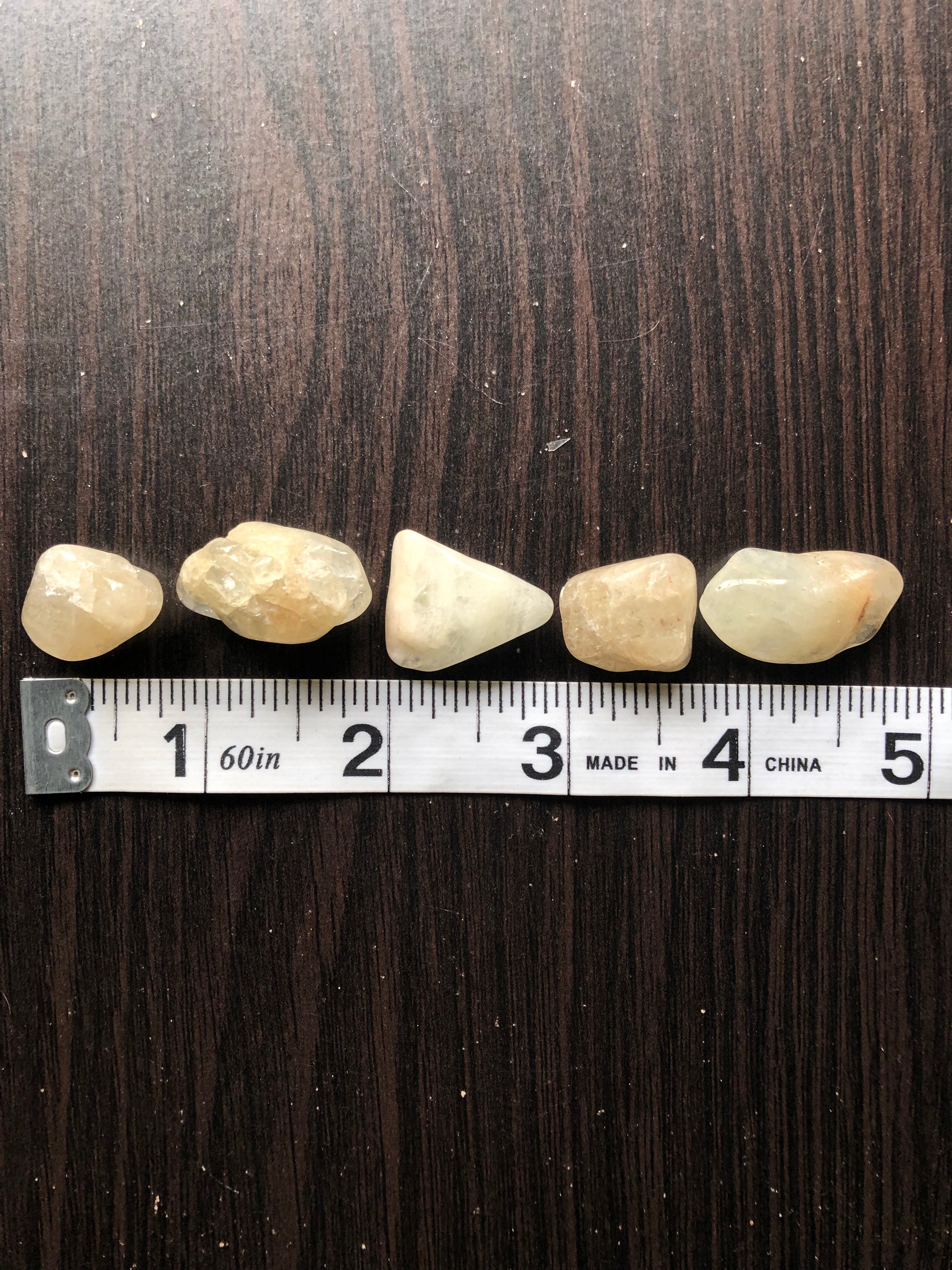 Five beige stones sit against a dark wood background. They are next to a white ruler showing each stone is approximately half an inch to one inch wide.