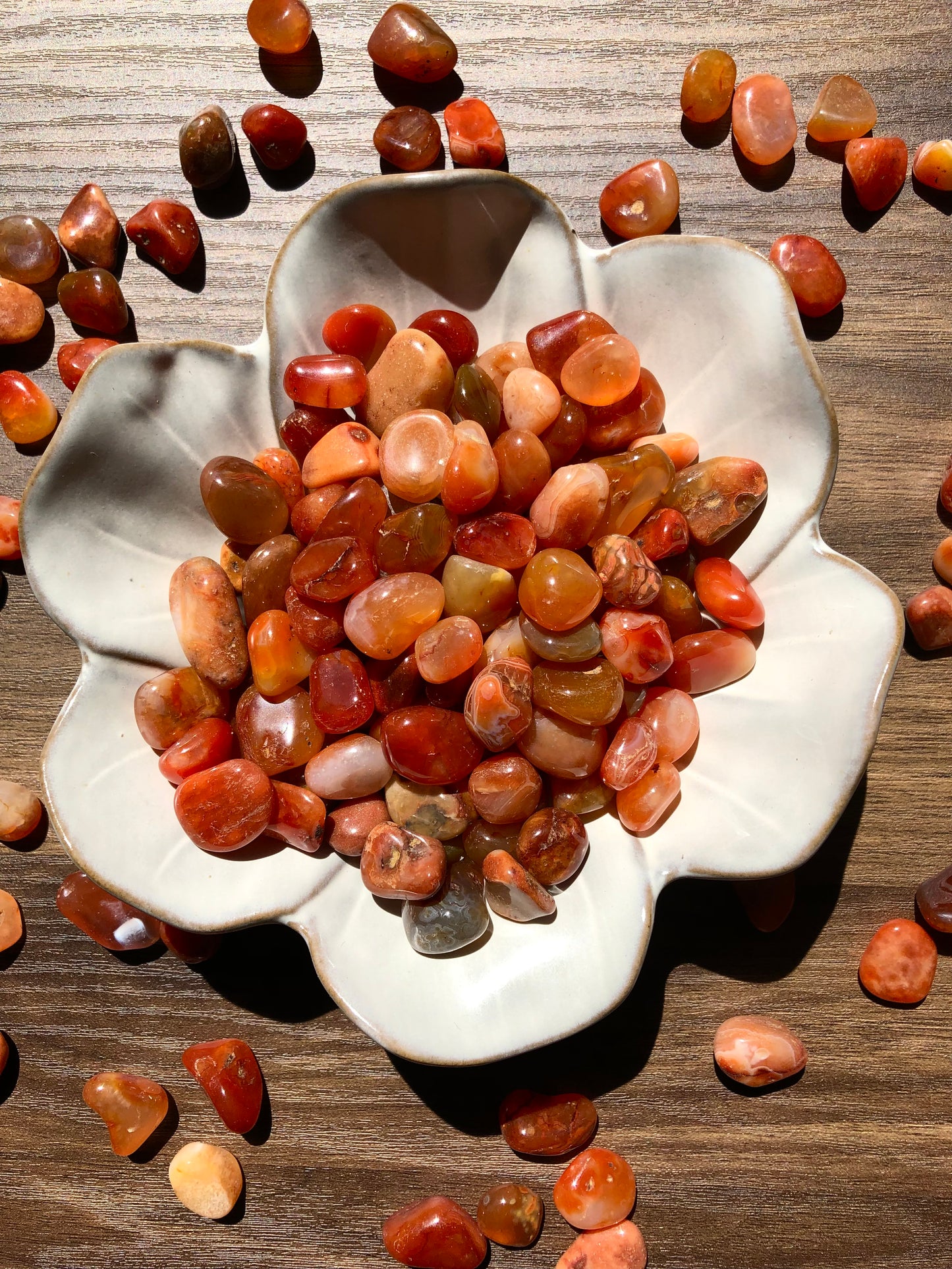 A downward picture of carnelian stones sitting in a white flower shaped bowl surrounded by scattered carnelian stones. it sits on a dark wooden background.