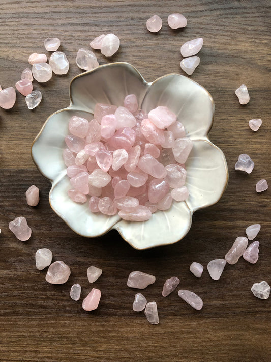 Tumbled rose quartz stones of various shades of pink sit in a white bowl that is shaped like a flower with rose quartz scattered around it. It sits on a dark wood background.