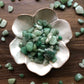 Tumbled aventurine stones of various shades of green sit in a white bowl that is shaped like a flower with aventurine scattered around it. It sits on a dark wood background.