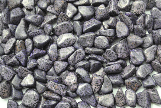 A top down view of an assortment of purple dalmation jasper stones. The stones are a dark purple with black spots.