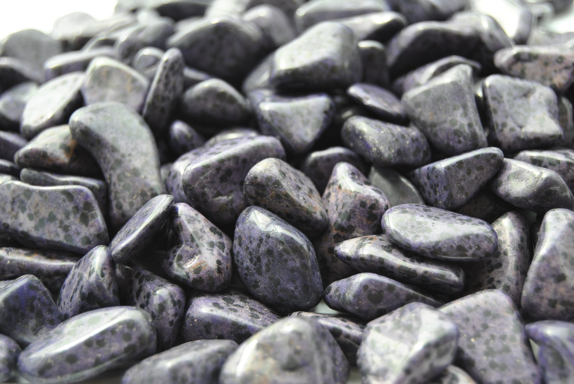 A close up view of an assortment of purple dalmation jasper stones. The stones are a dark purple with black spots.