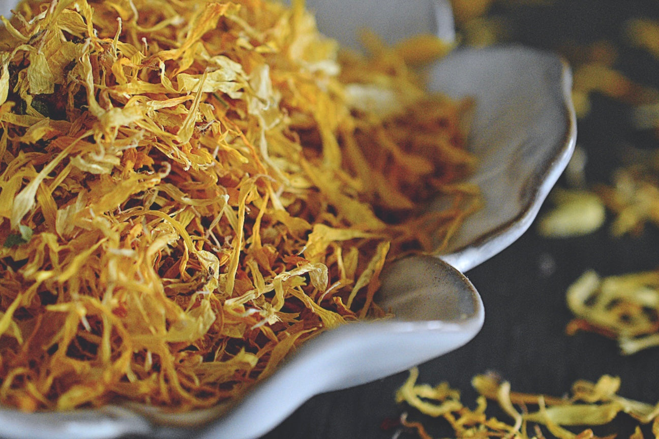 A close up view of vibrant golden and yellow calendula petals rests in a white, flower shaped dish on a wooden surface. Small petals are scattered about in the background.